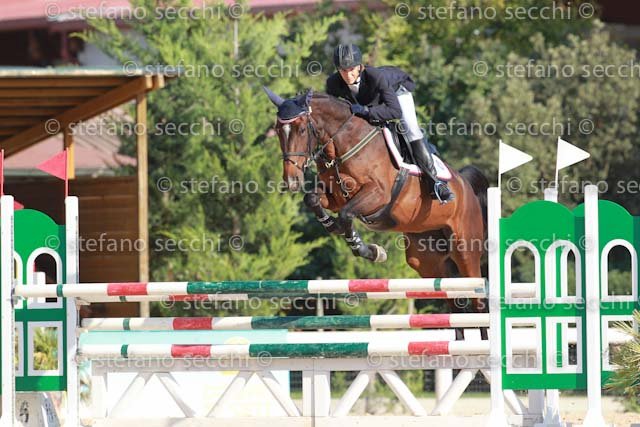 BIZZOCCHI_OH MY LADY_GIO CAV 2011_SS3_7519.jpg